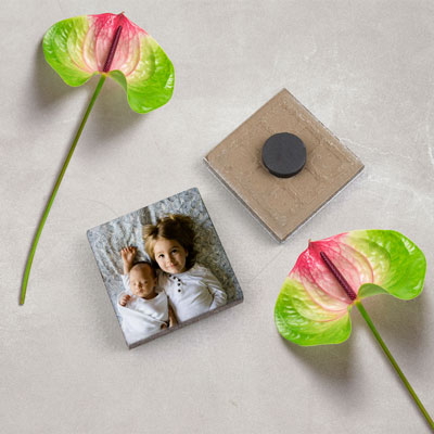 Seramik Magnet